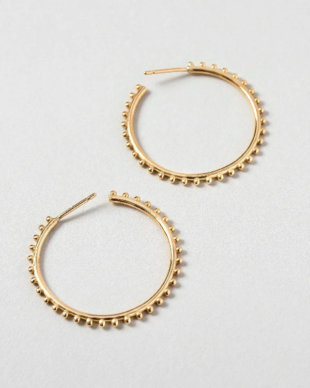 Butterfly earrings for women-Sunbow Hoop Earrings