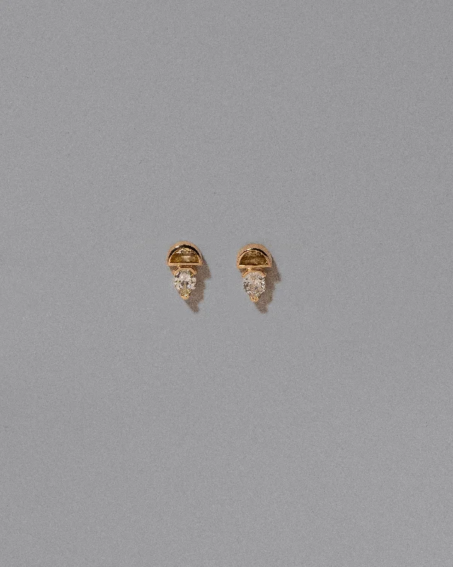 Gold stud earrings for women-Delphinus Earrings